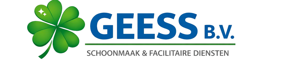 GEESS B.V.